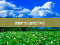 拔髓针怎么抽出牙神经
