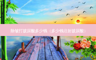 除皱打玻尿酸多少钱（多少钱注射玻尿酸）