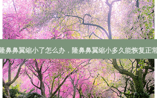 隆鼻鼻翼缩小了怎么办，隆鼻鼻翼缩小多久能恢复正常