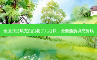 全脸脂肪填充白白花了几万块，全脸脂肪填充价钱