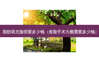 脂肪填充脸部要多少钱（瘦脸手术大概需要多少钱）