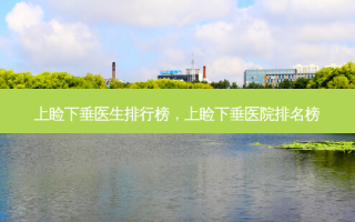 上睑下垂医生排行榜，上睑下垂医院排名榜