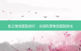 私立整形医院排行，全国民营整形医院排名