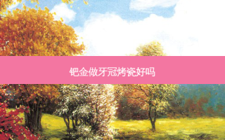 钯金做牙冠烤瓷好吗
