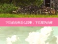 下巴的肉疼怎么回事，下巴那的肉疼