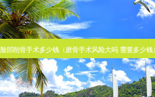 脸部削骨手术多少钱（磨骨手术风险大吗 需要多少钱）