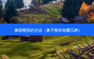 鼻部整形的 *** （鼻子整形有哪几种）