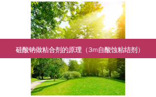 硅酸钠做粘合剂的原理（3m自酸蚀粘结剂）
