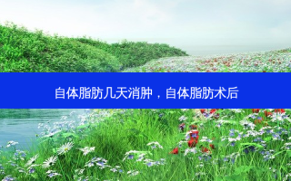 自体脂肪几天消肿，自体脂肪术后