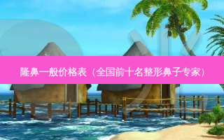 隆鼻一般价格表（全国前十名整形鼻子专家）
