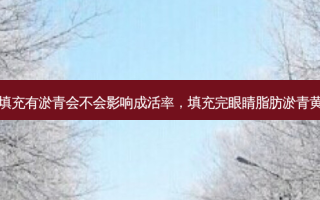 脂肪填充有淤青会不会影响成活率，填充完眼睛脂肪淤青黄黄的