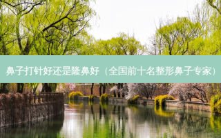 鼻子打针好还是隆鼻好（全国前十名整形鼻子专家）