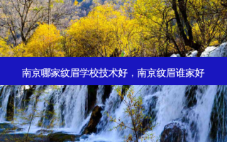 南京哪家纹眉学校技术好，南京纹眉谁家好