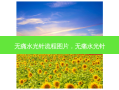  *** 水光针流程图片， *** 水光针