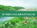 垫个鼻梁什么价位 垫鼻头的手术多少钱