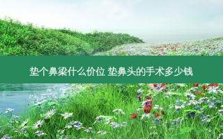 垫个鼻梁什么价位 垫鼻头的手术多少钱