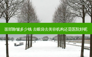 面部除皱多少钱 去眼袋去美容机构还是医院好呢