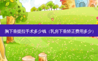 胸下垂提拉手术多少钱（ *** 下垂矫正费用多少）