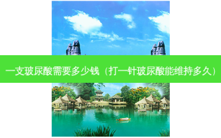 一支玻尿酸需要多少钱（打一针玻尿酸能维持多久）