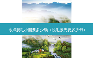 冰点脱毛小腿要多少钱（脱毛激光要多少钱）