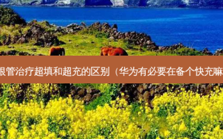 根管超填和超充的区别（华为有必要在备个快充嘛）