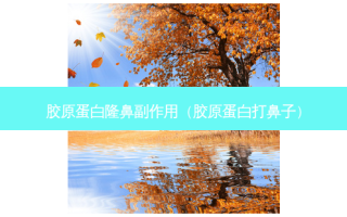胶原蛋白隆鼻副作用（胶原蛋白打鼻子）
