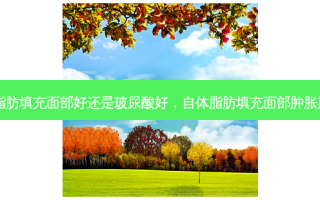 自体脂肪填充面部好还是玻尿酸好，自体脂肪填充面部肿胀期多久