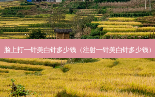 脸上打一针美白针多少钱（注射一针美白针多少钱）