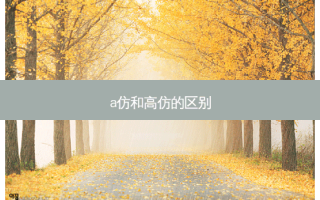 a仿和高仿的区别