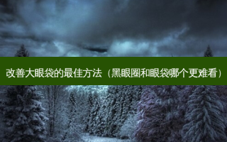大眼袋的佳 *** （黑眼圈和眼袋哪个更难看）