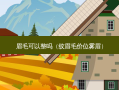 眉毛可以整吗（纹眉毛价位雾眉）
