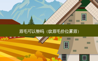 眉毛可以整吗（纹眉毛价位雾眉）