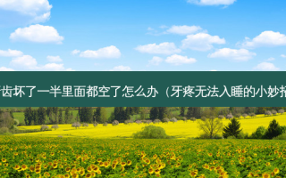 牙齿坏了一半里面都空了怎么办（牙疼无法入睡的小妙招）