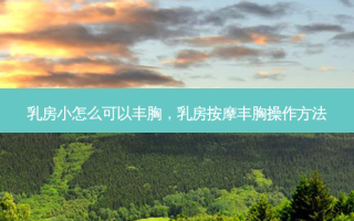  *** 小怎么可以丰胸， ***  *** 丰胸操作 *** 