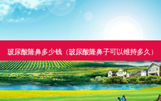 玻尿酸隆鼻多少钱（玻尿酸隆鼻子可以维持多久）