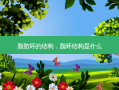 脂肪环的结构，脂环结构是什么