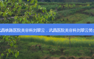 武昌铁路医院美容科刘翠云，武昌医院美容科刘翠云简介