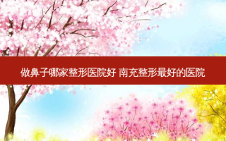 做鼻子哪家整形医院好 南充整形好的医院