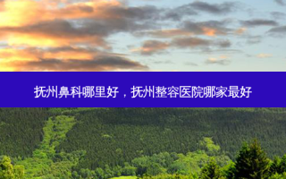 抚州鼻科哪里好，抚州整容医院哪家 *** 