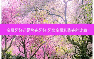 金属牙好还是烤瓷牙好 牙套金属和陶瓷的比较