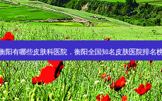 衡阳有哪些皮肤科医院，衡阳全国知名皮肤医院排名榜
