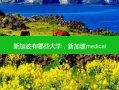 新加波有哪些大学，新加坡medical