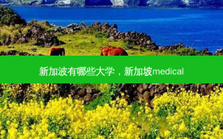 新加波有哪些大学，新加坡medical
