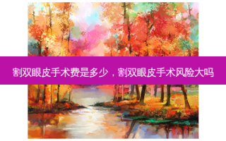 割双眼皮手术费是多少，割双眼皮手术风险大吗