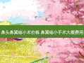 鼻头鼻翼缩小术价格 鼻翼缩小手术大概费用
