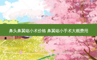 鼻头鼻翼缩小术价格 鼻翼缩小手术大概费用