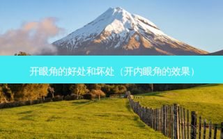 开眼角的好处和坏处（开内眼角的效果）