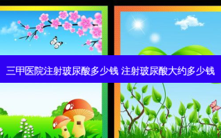 三甲医院注射玻尿酸多少钱 注射玻尿酸大约多少钱