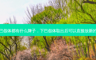 下巴假体都有什么牌子，下巴假体取出后可以直接放新的吗