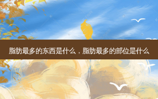 脂肪最多的东西是什么，脂肪最多的部位是什么